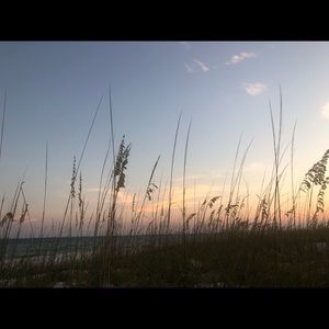 Meet your Posher, Janie